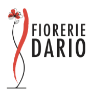 Fiorerie Dario, logo.