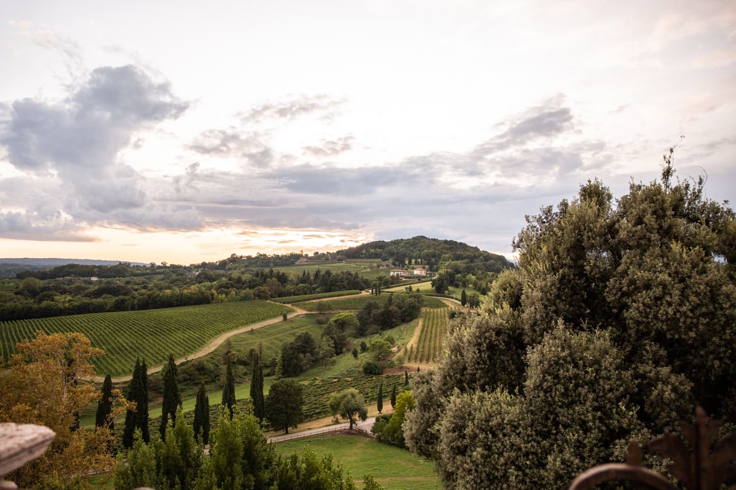 Location immerse nel verde, per matrimoni da sogno. Fa Eventi, Veneto.