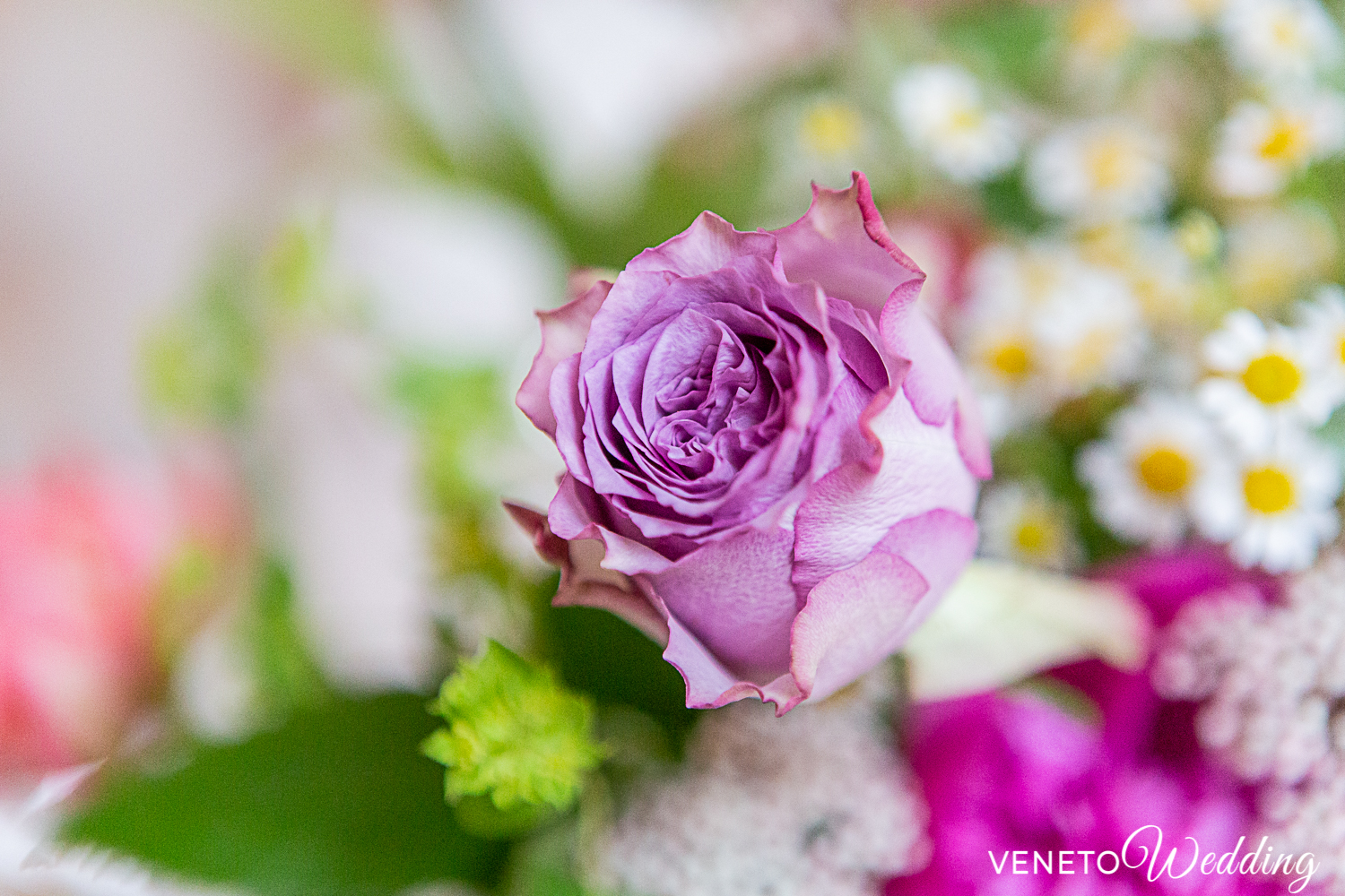 Matrimonio a Maggio in Villa